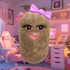 zaraa__nn