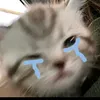 nxylov
