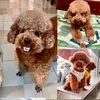 giadinhheocute