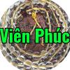 VIÊN PHÚC 1515