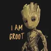 i_am_groo01