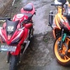 anifaputra446