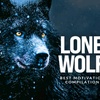lone.wolf8018