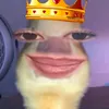 nnl_rm
