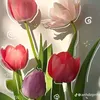 lann_lan1.19
