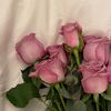zooz_17z4