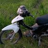 arilxc0