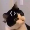hny_s0f._