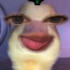 ulpspra