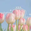 _phuw30_