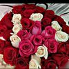 leman_mamedly
