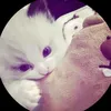 jfhxbodjdbxb
