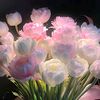 put_rii102707