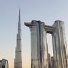 UAE_Falcon