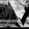 denisse_lokita