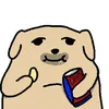 ddwumpp