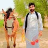 amirshah1272