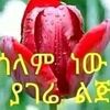 user038404564