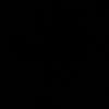 hussainpro9550