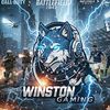 winstongamin01