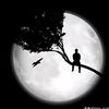 user49008137011528