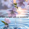 dy2r9q73iojn
