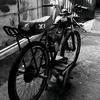 chico_grauu