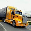 frankdelgado660