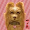 Taiya ✭