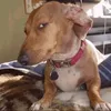 watchinyouu