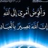 user849083448488