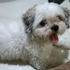 onezkamlimariomanalo