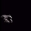 hamoo__66