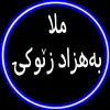 ماموستا بەهزاد زێوکی حفظە الله