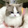 maiscmoii