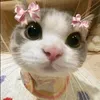 aluna_348
