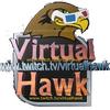 virtualhawk