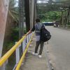 mardis91