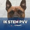 bobvanderkleijn