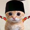 bhocill_rajel1