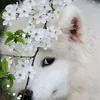 user0c58g6yl4k