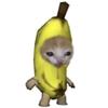 banana_cat871