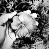 yanah_kim05