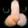 userabser_opo