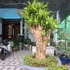 nguoidongthap198