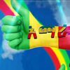 hd72621gmailcom