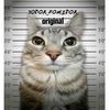 todor_6952