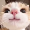 userd3akwqbh5f