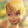 user341071637