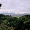 maicha_newa02